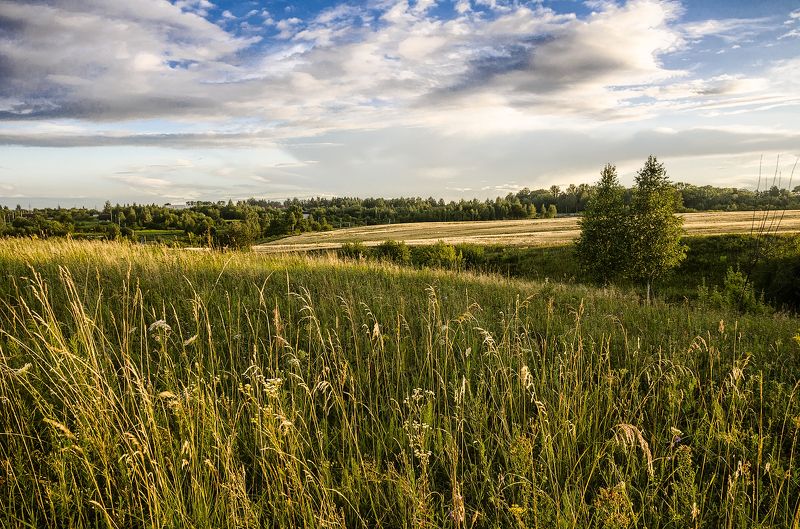 Вспоминая лето фото превью