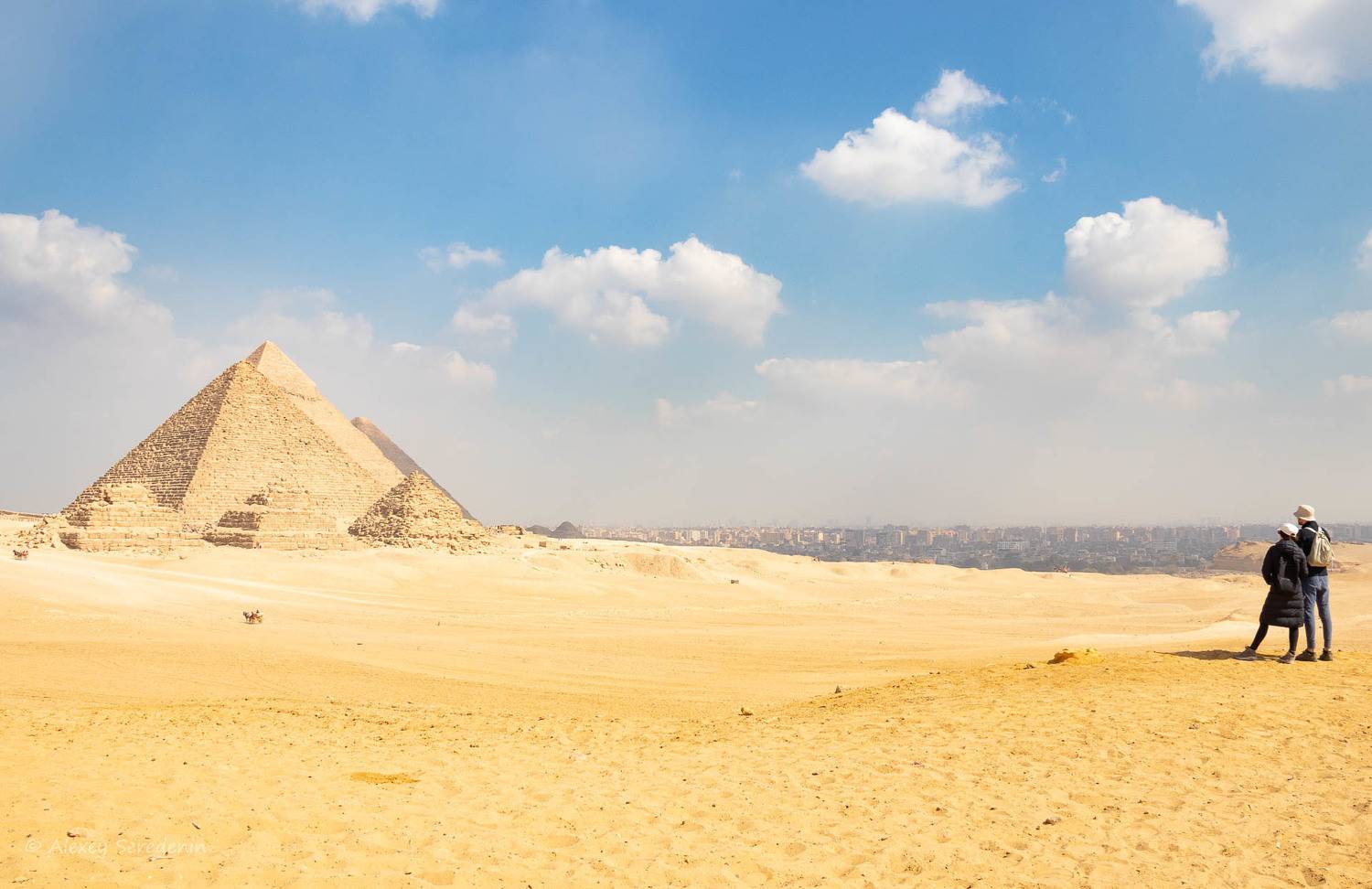 , Алексей Середенин