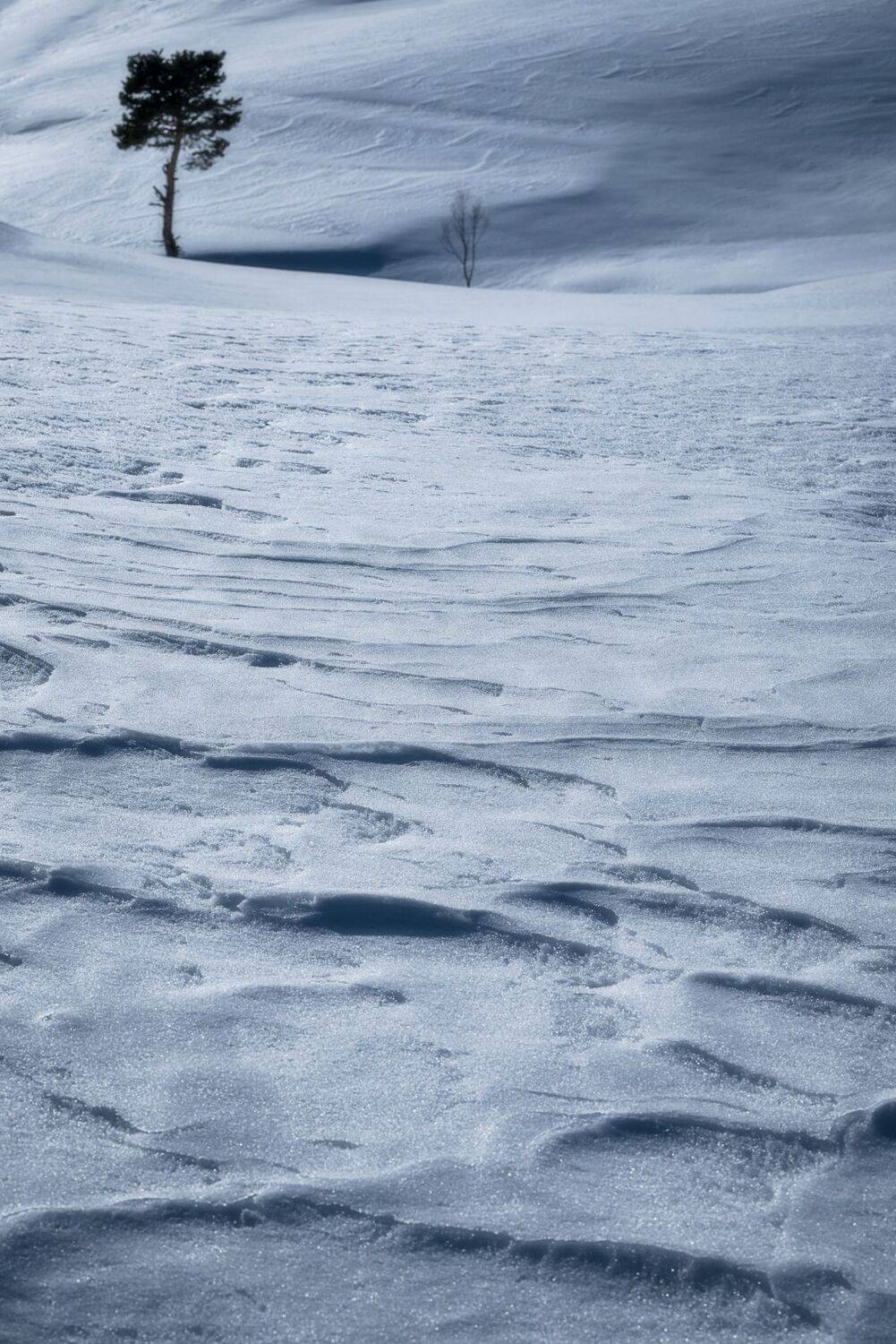 , Mariyana Atanasova - Lucero