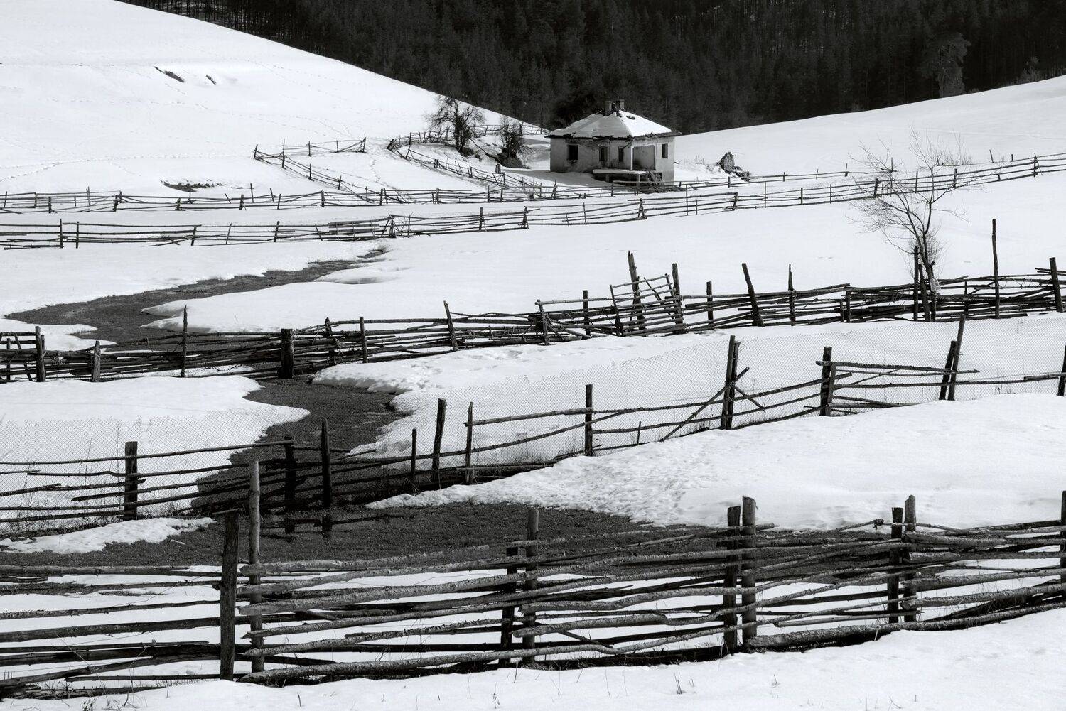 , Mariyana Atanasova - Lucero