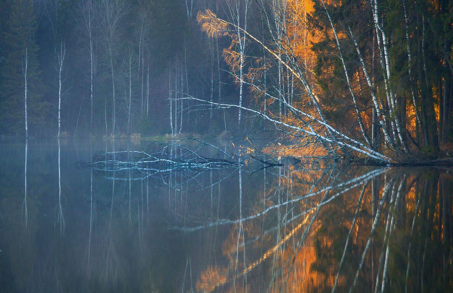 пейзаж, рассвет, озеро, сергиев посад , Евгения Ботова
