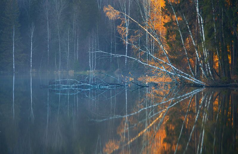 пейзаж, рассвет, озеро, сергиев посад  Осень догорает  фото превью