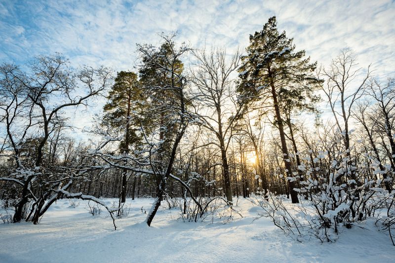Солнечный февраль фото превью