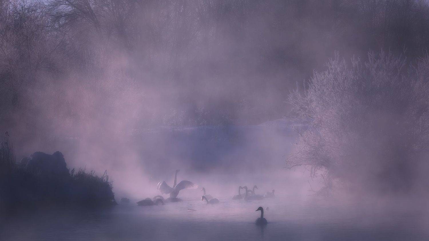 , Вадим Кононенко