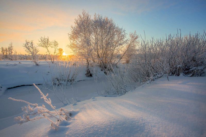 Берег реки Луга фото превью