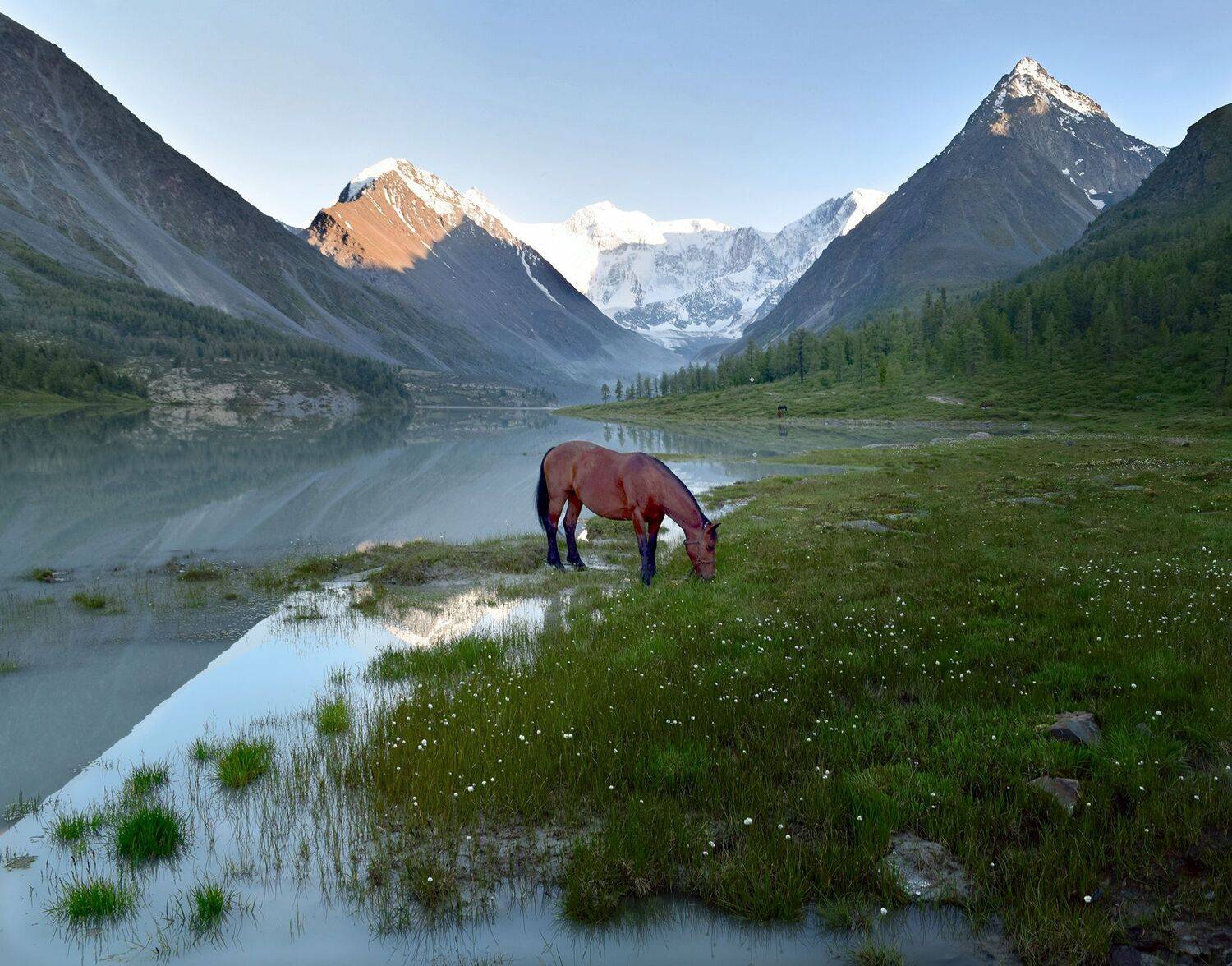 , Светлана Крат