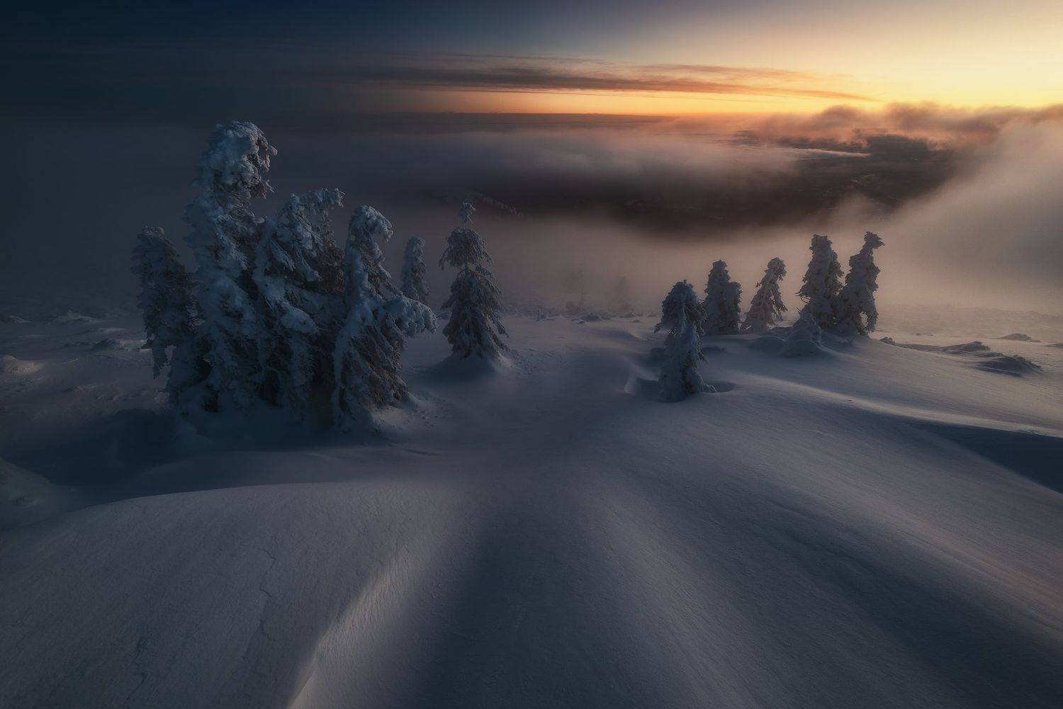 , Szabo Zsolt Andras