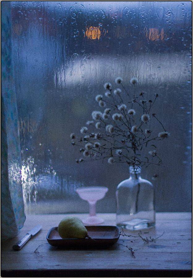 , Stein Georg