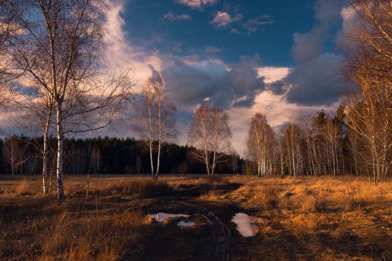 луг зима февраль закат тучи лужи Золото февральского заката фото превью