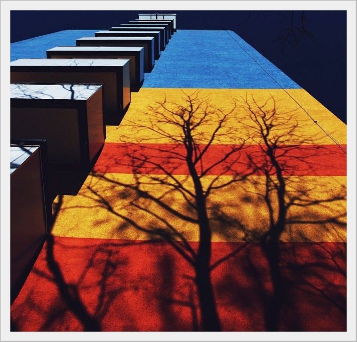 , Krzysztof Trojanowski