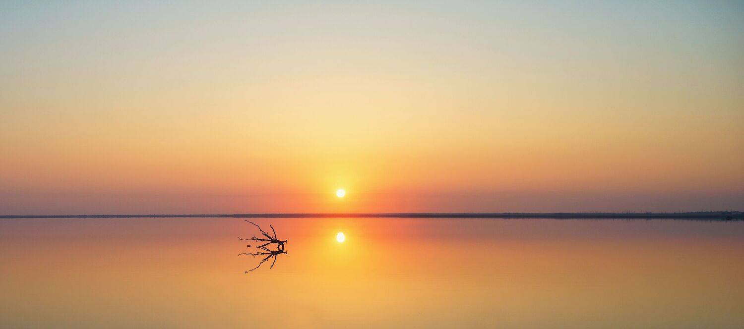 , Дмитрий Цыпляев