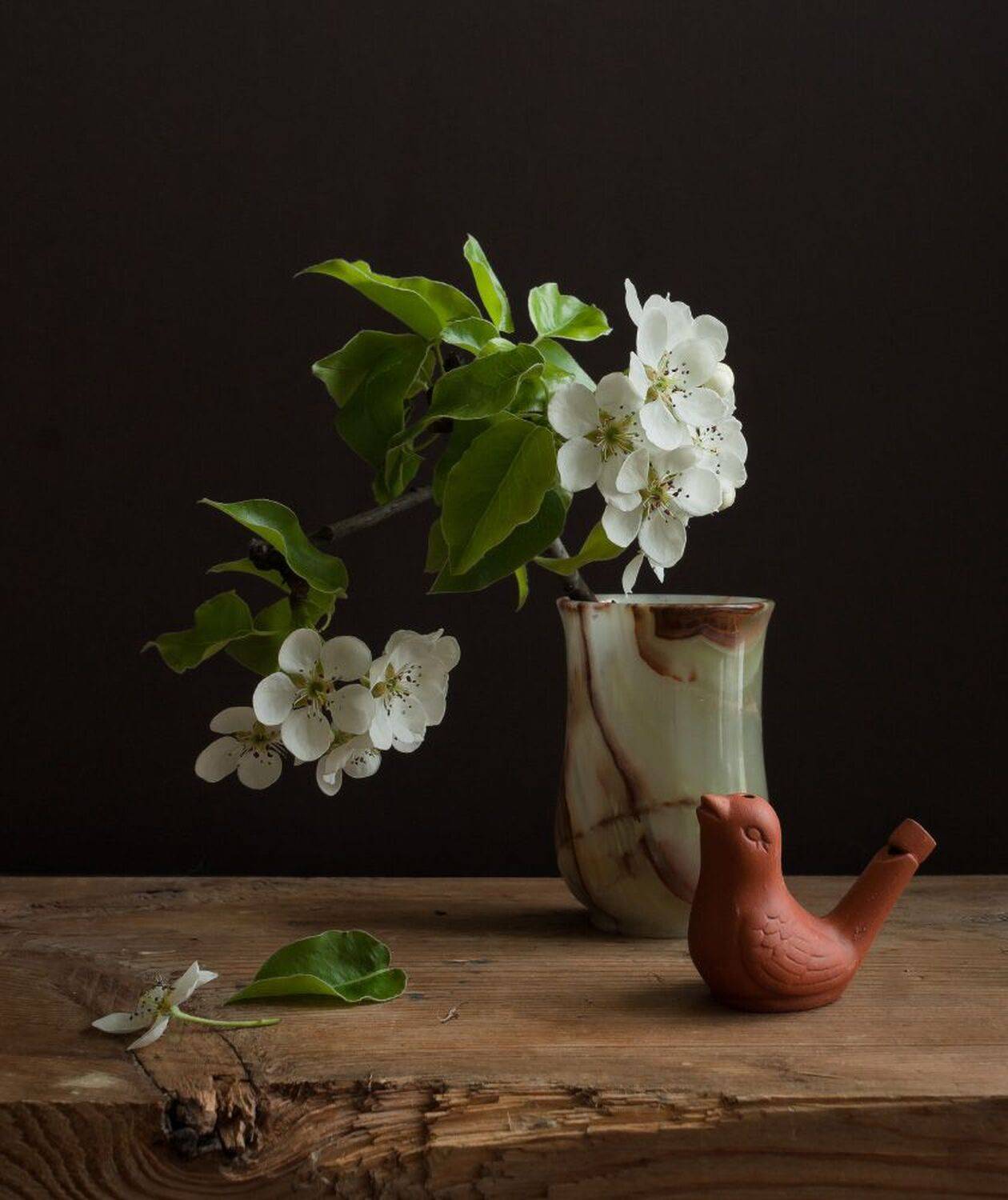 , Колеснева Елена