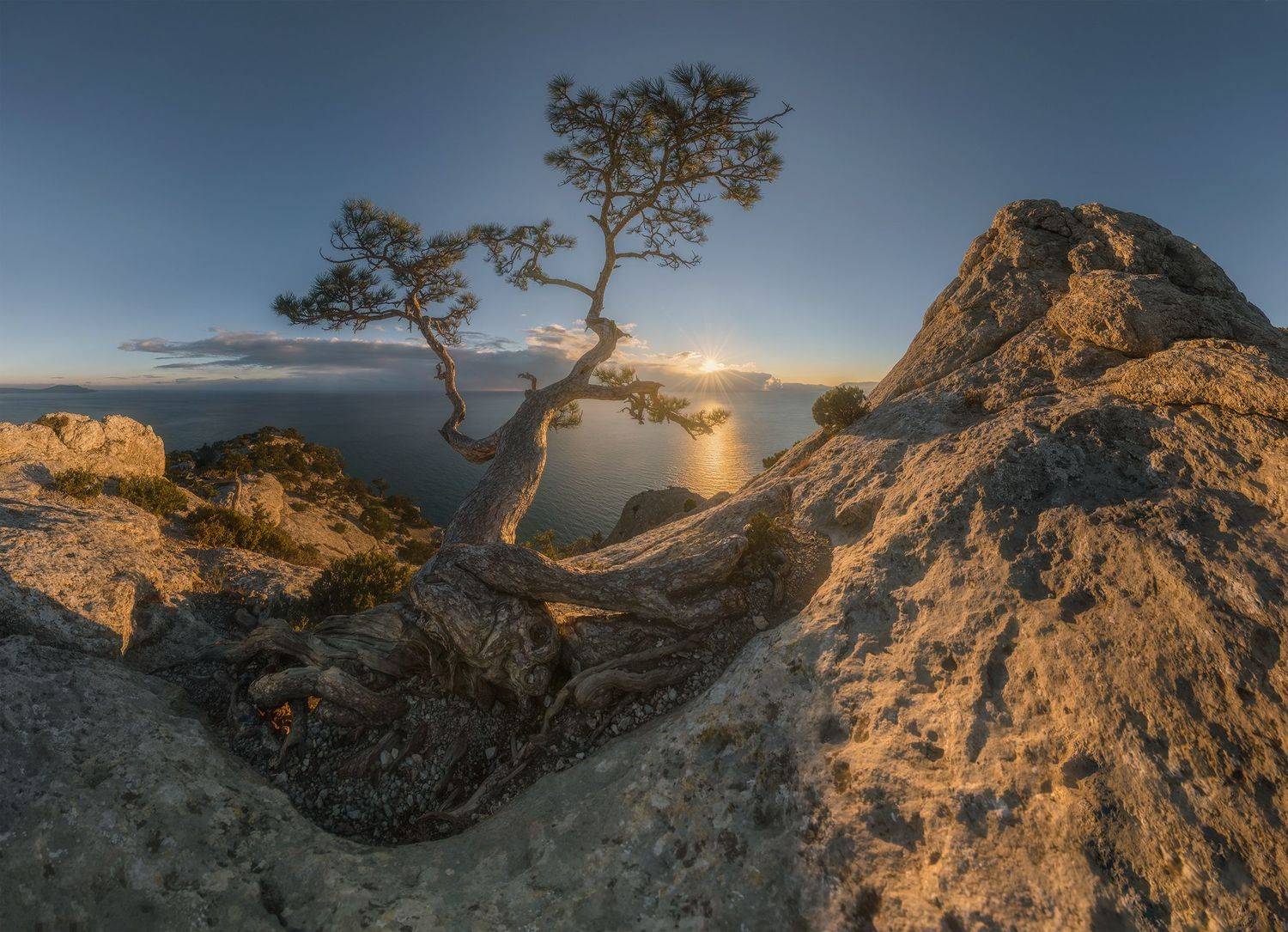 крым, новый свет, пик космос, сосна, закат, декабрь, Николай Мысливцев