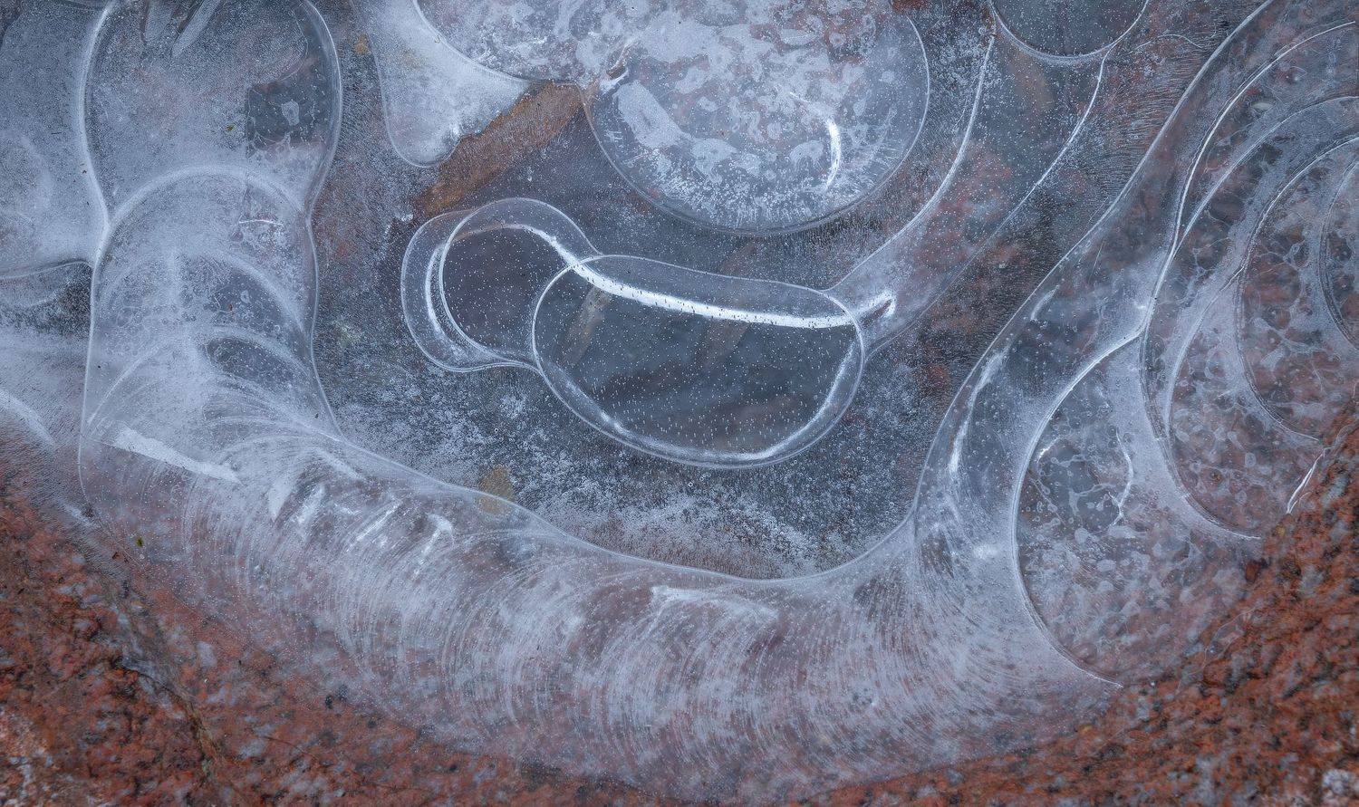 , Михаил Гапонов