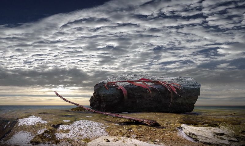 одесса ХАДЖИБЕЙ фото превью