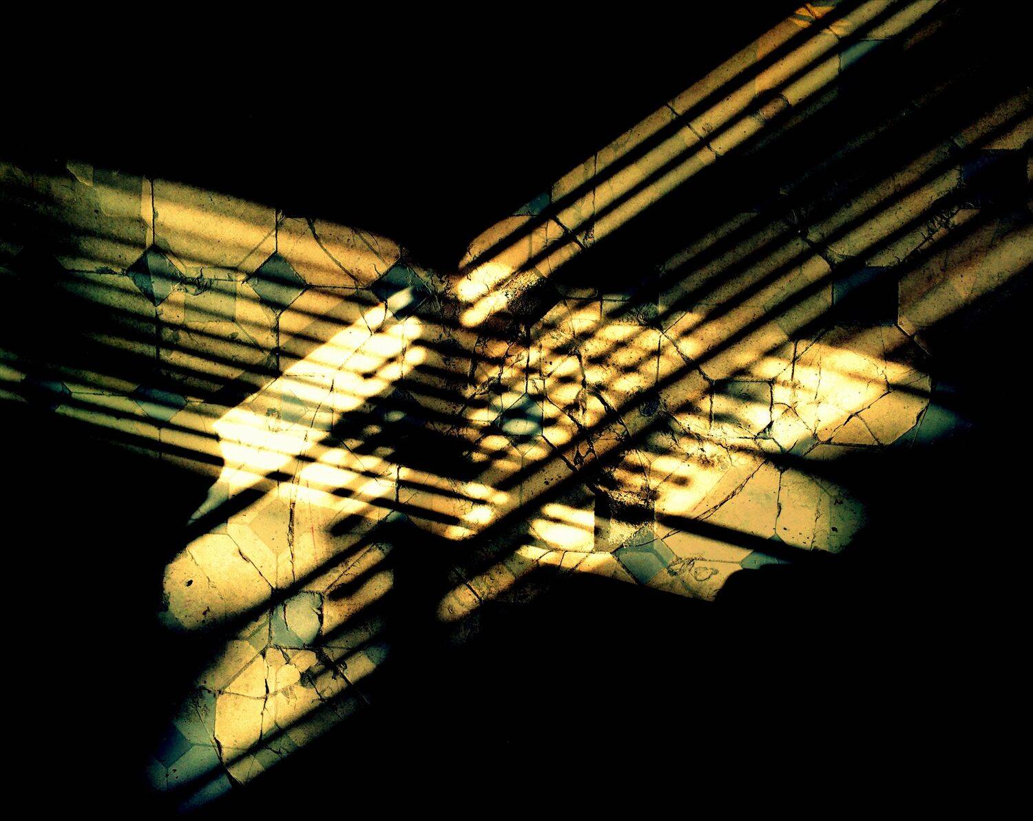 , Антон Лаба