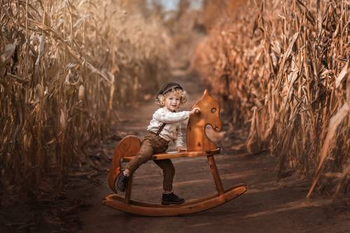 Corn Maze Fun