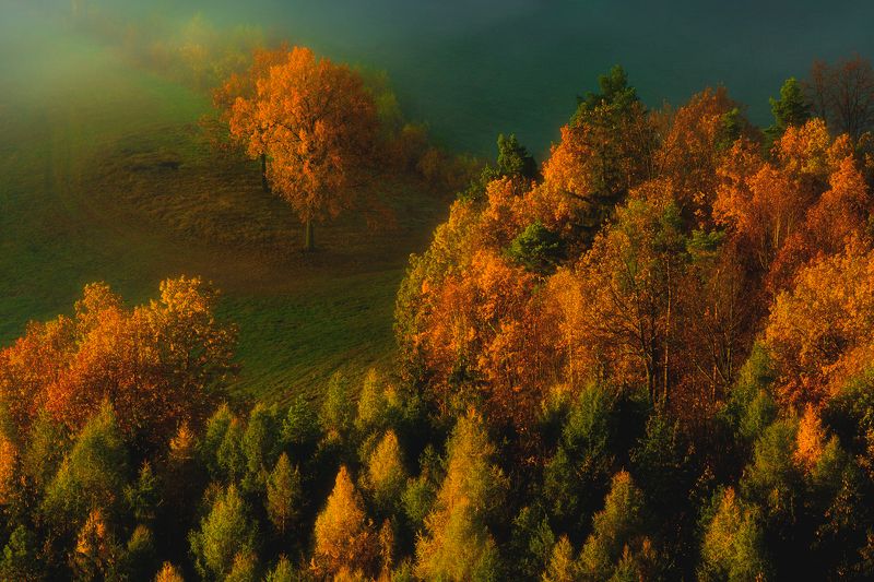 landscape,autumn,mountains,canon Autumn...III фото превью