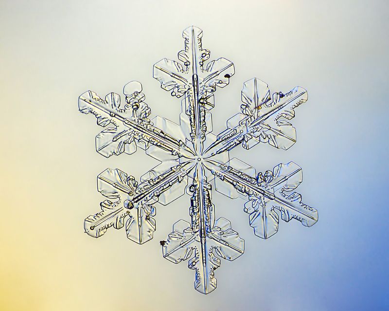 Snowflakes фото превью