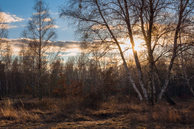 луг зима февраль закат тучи Февральский день лениво шёл к закату фото превью