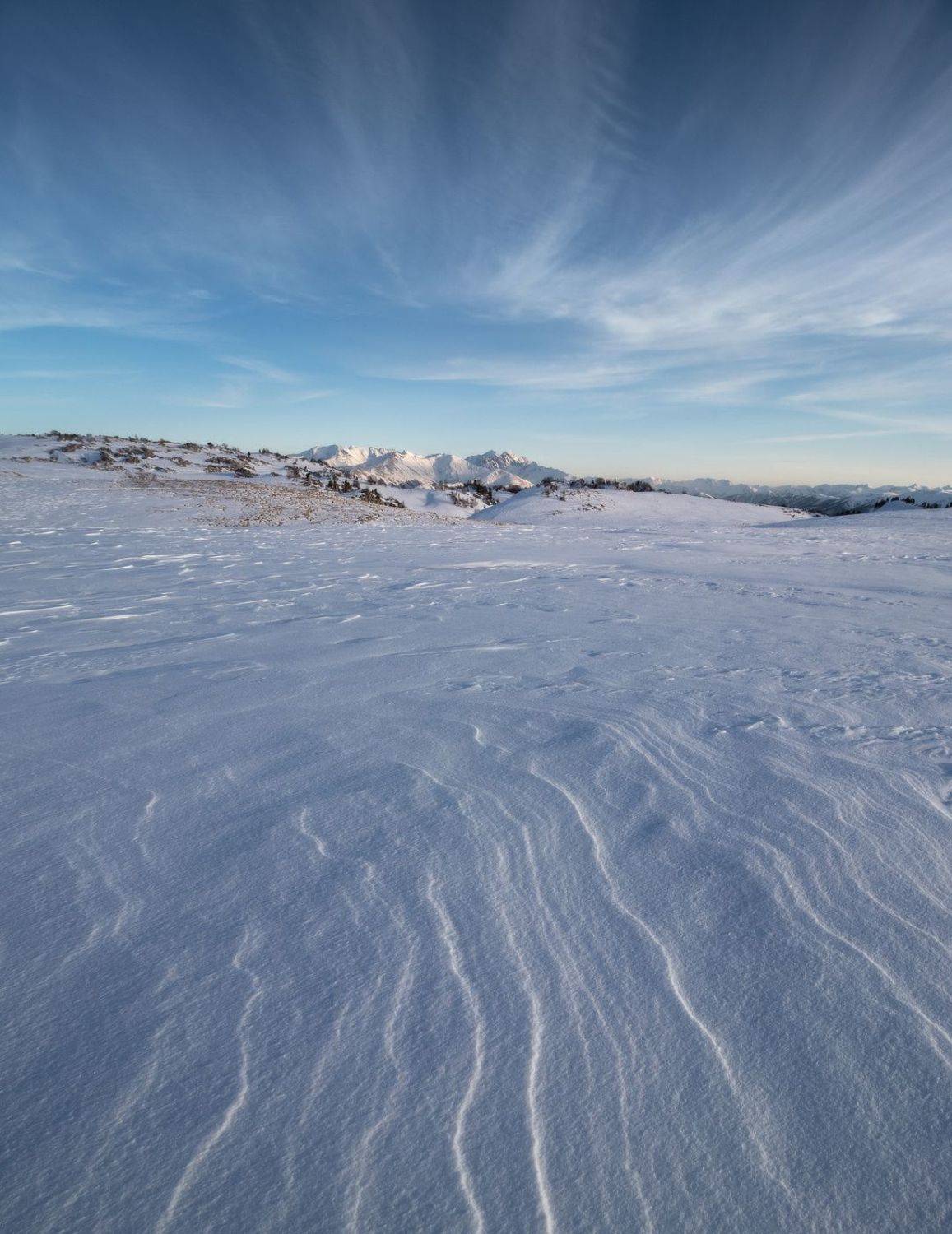 , Михаил Гапонов