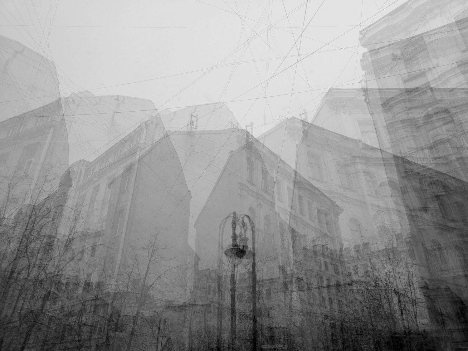 , Антон Лаба