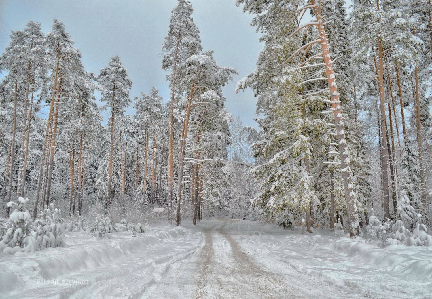 , Новиков Михаил