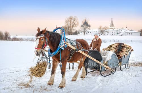 Лошадка