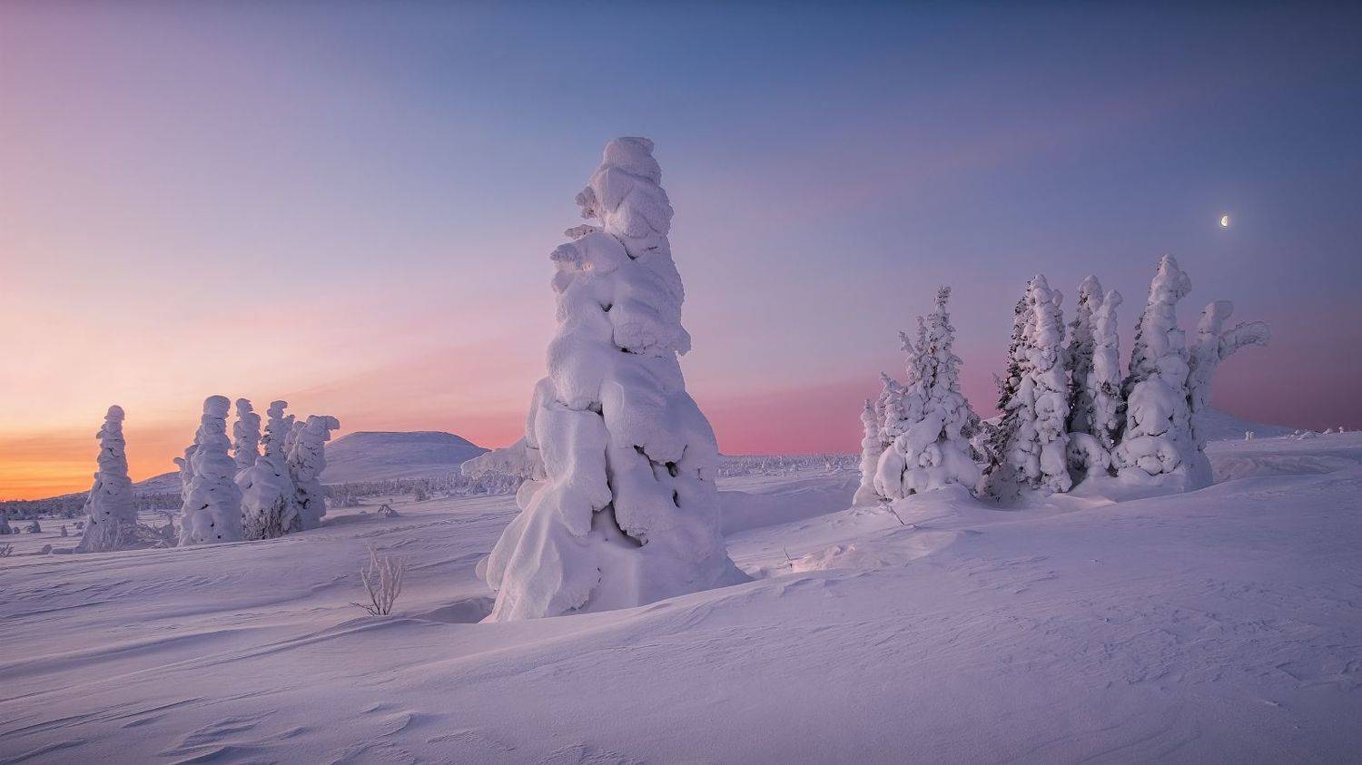 главный уральский хребет, гух, зима, урал, северный урал, рассвет, Глеб Желтов