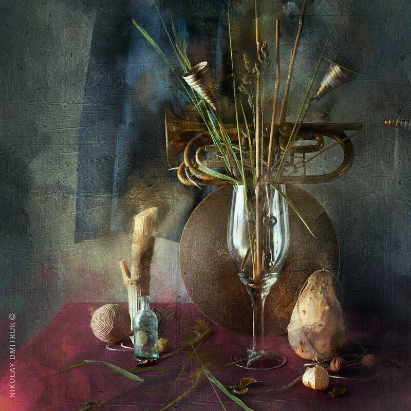 , николай дмитрук