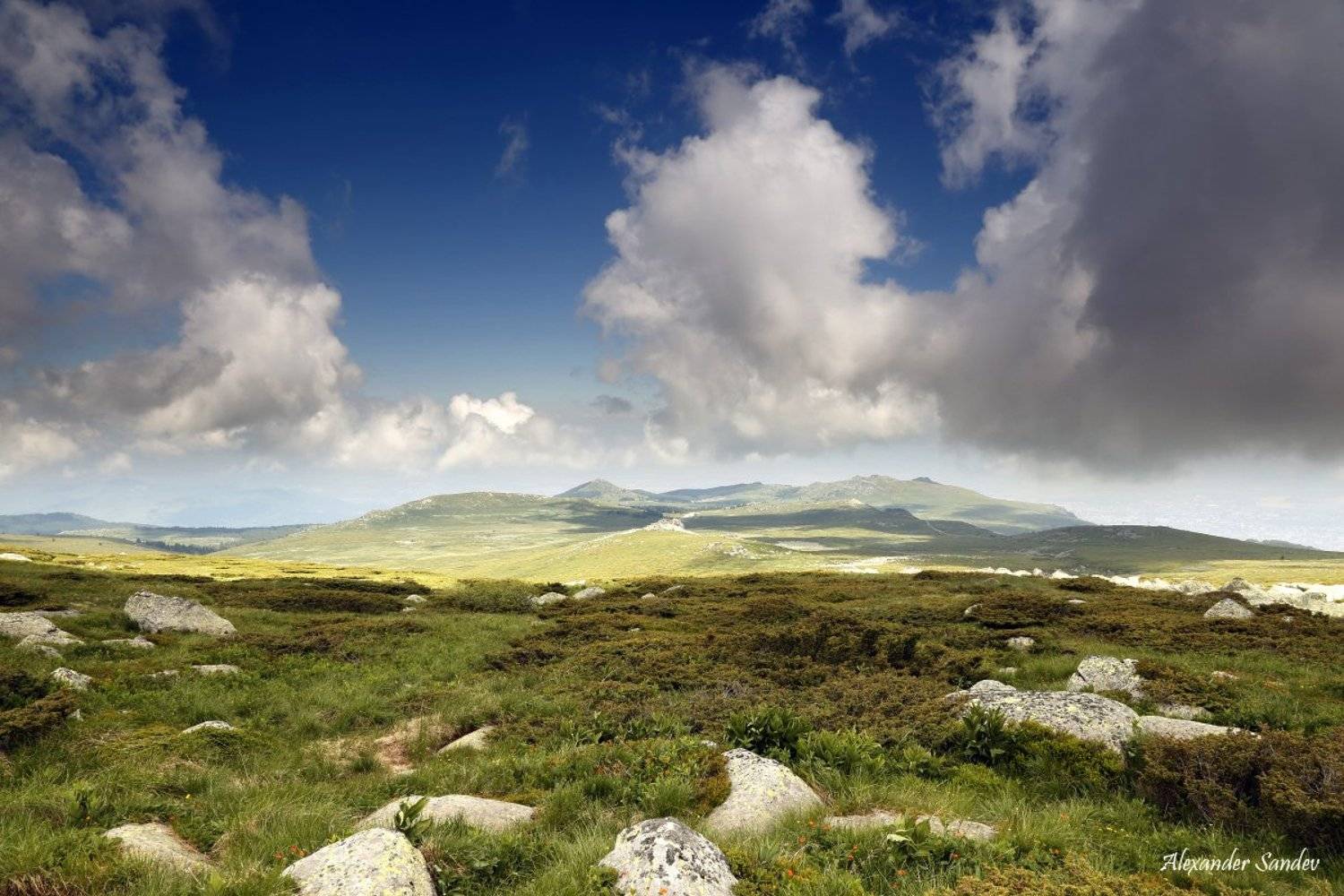 , Александър Сандев