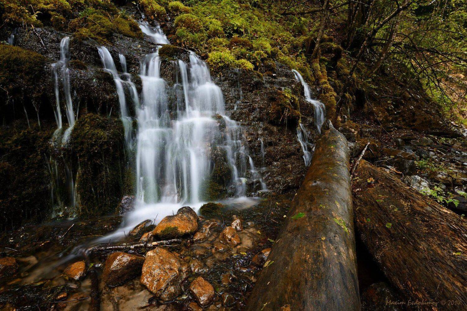 , Максим Евдокимов