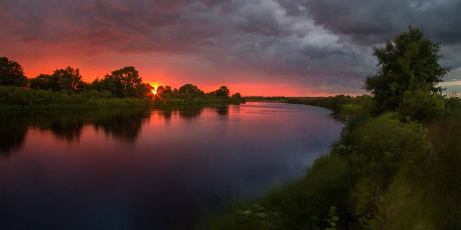 , Михаил Кушнер