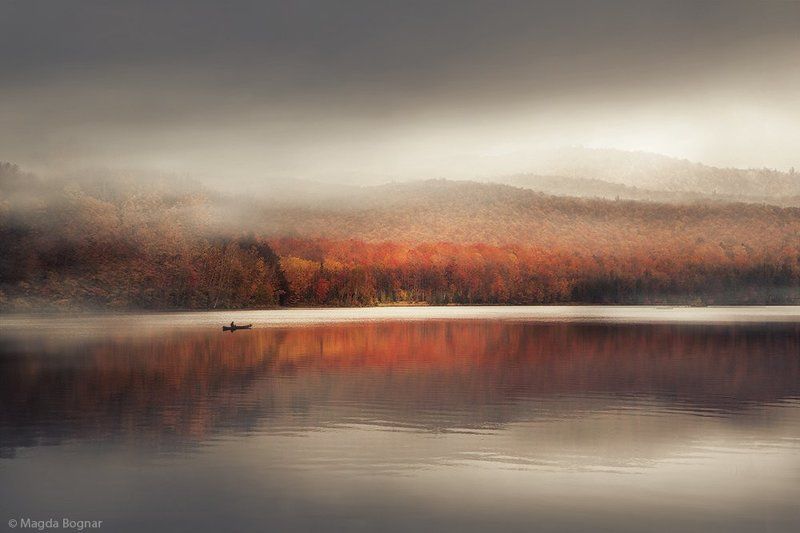 Sound of Silence фото превью