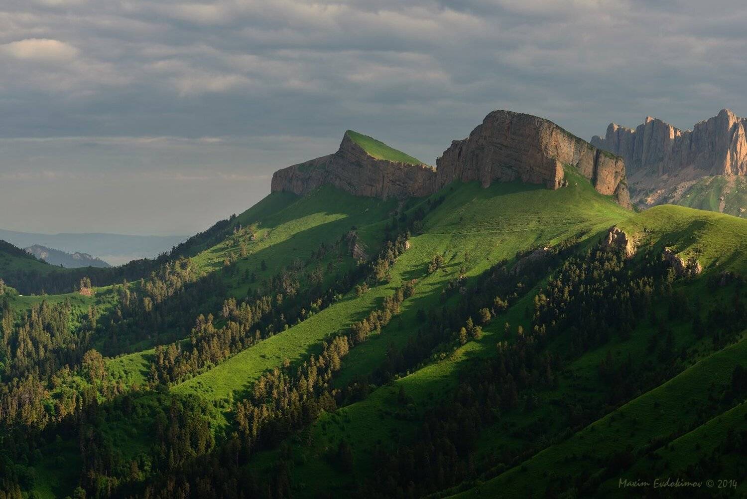 , Максим Евдокимов