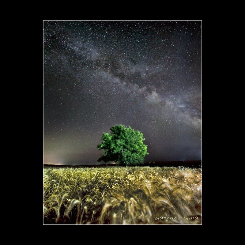 на млечном пути фото превью