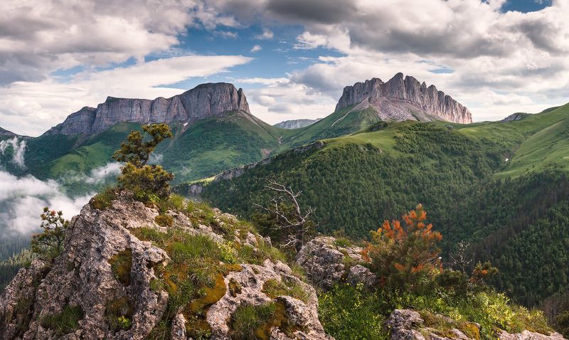 Сэкитэй фото превью