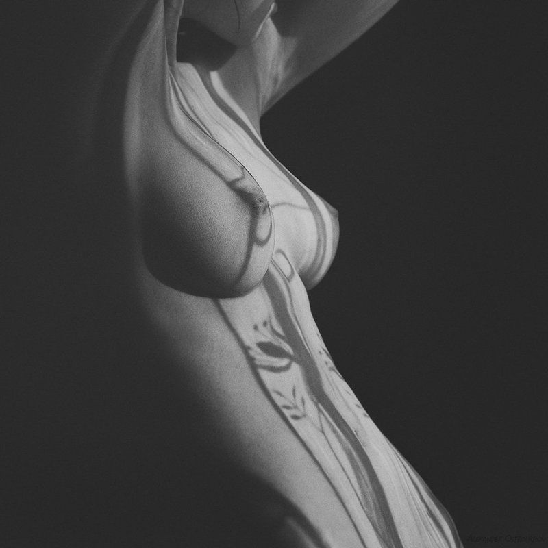 *** фото превью