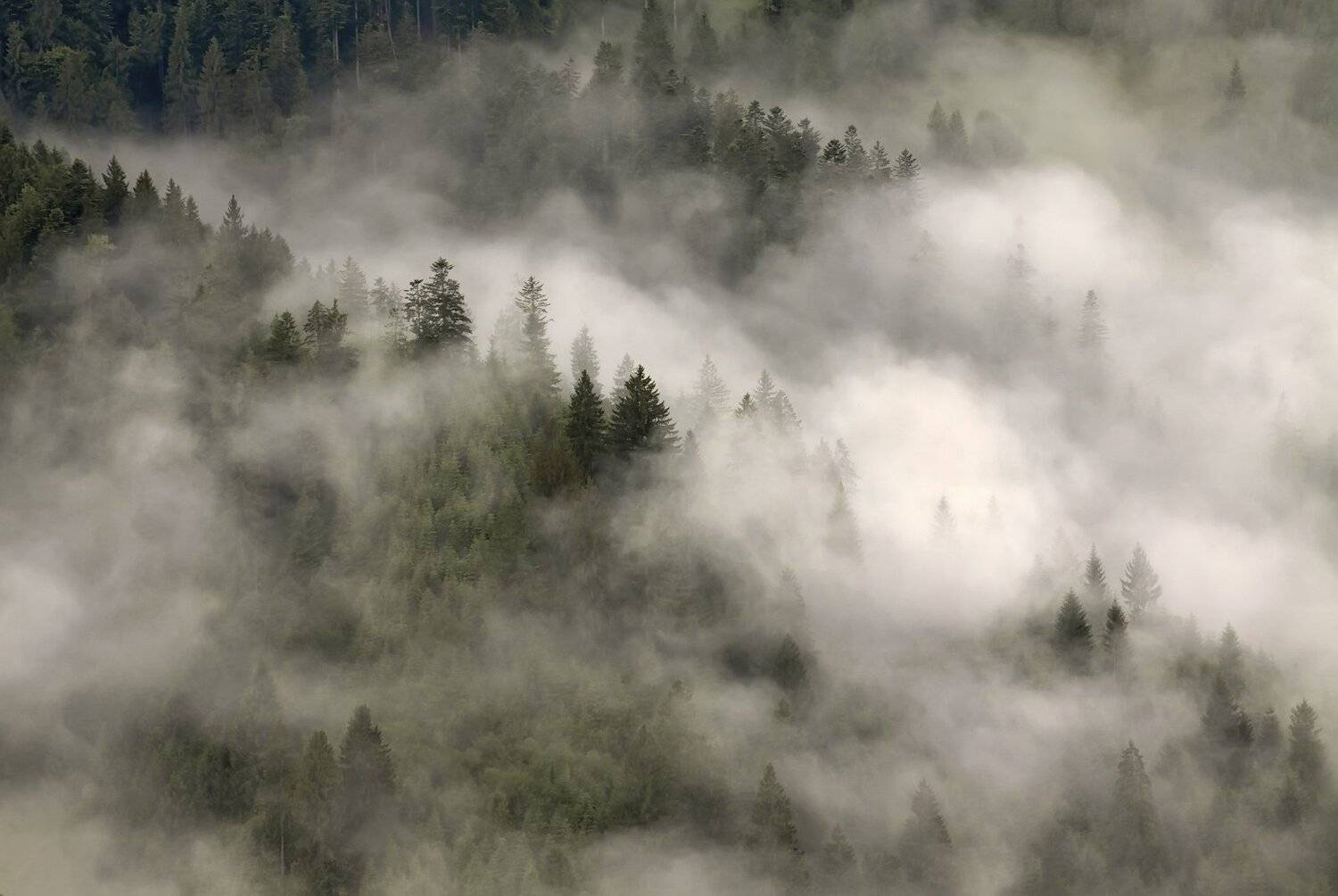 , Михаил Глаголев