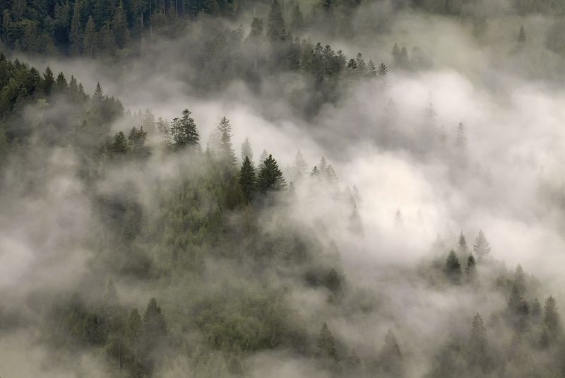 Диво... фото превью