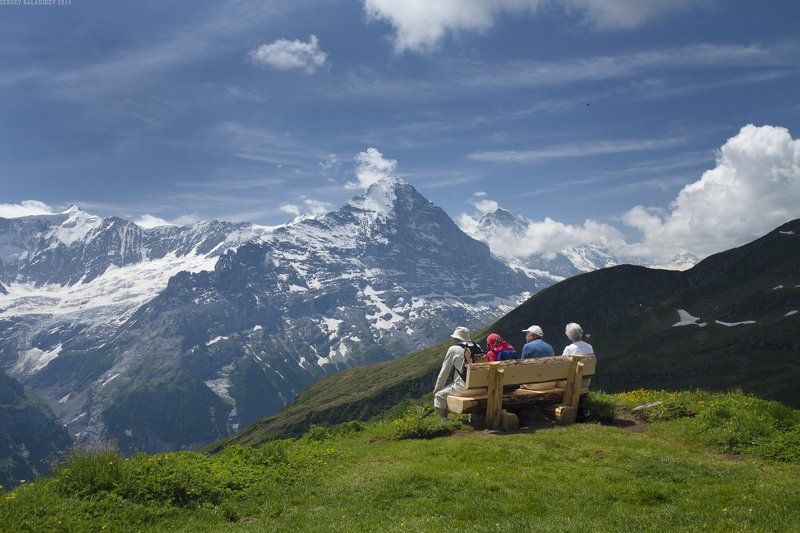 Место в первом ряду. фото превью
