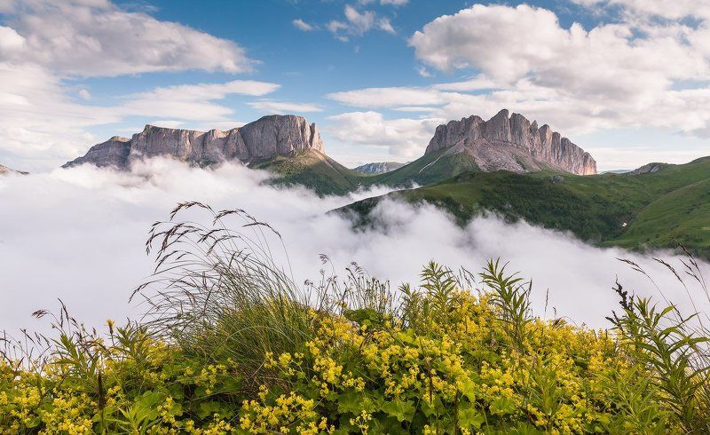 Где облака ласкают травы фото превью