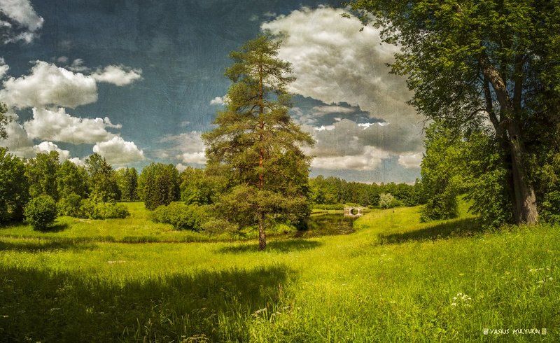 В Павловском парке ... фото превью