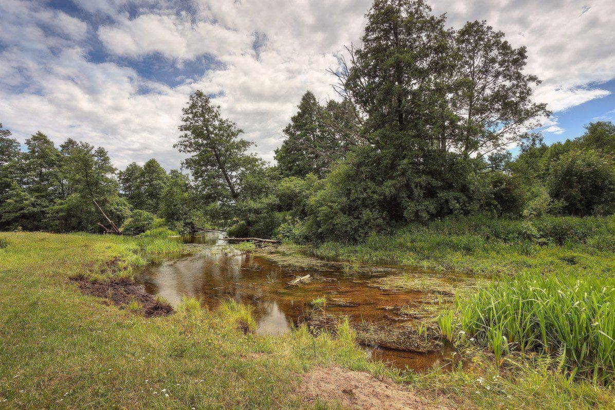 , Вейзе Максим