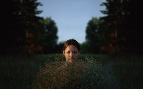 небесные цветы