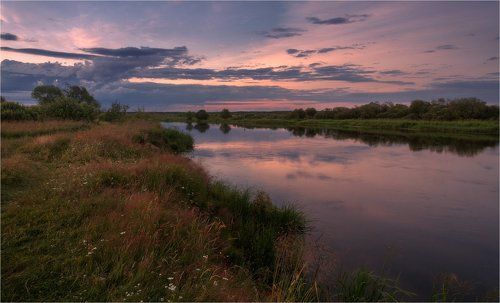 На берегу реки в июне
