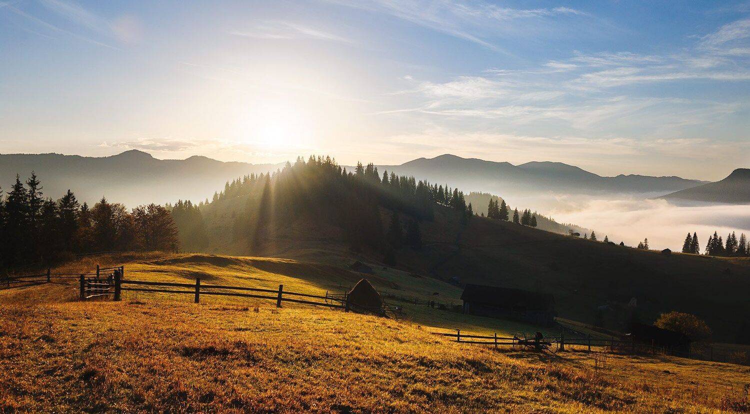 , Олег Логунов