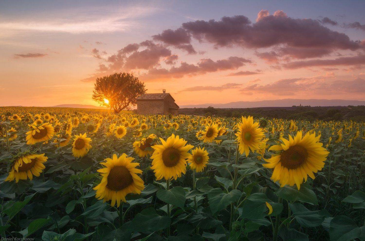 Валенсоль, Прованс, Даниил Коржонов