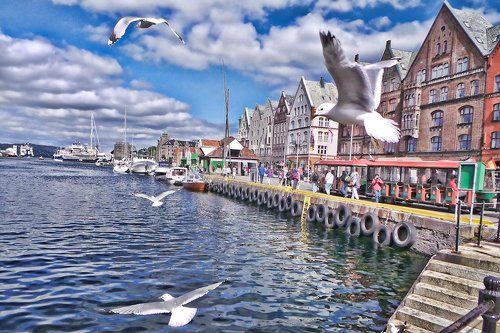 Бергенские будни