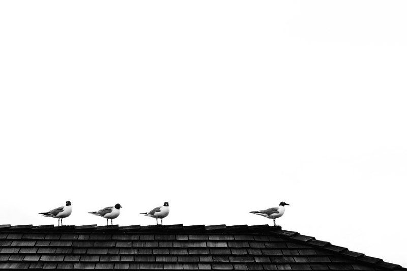 ^^^ ^ фото превью